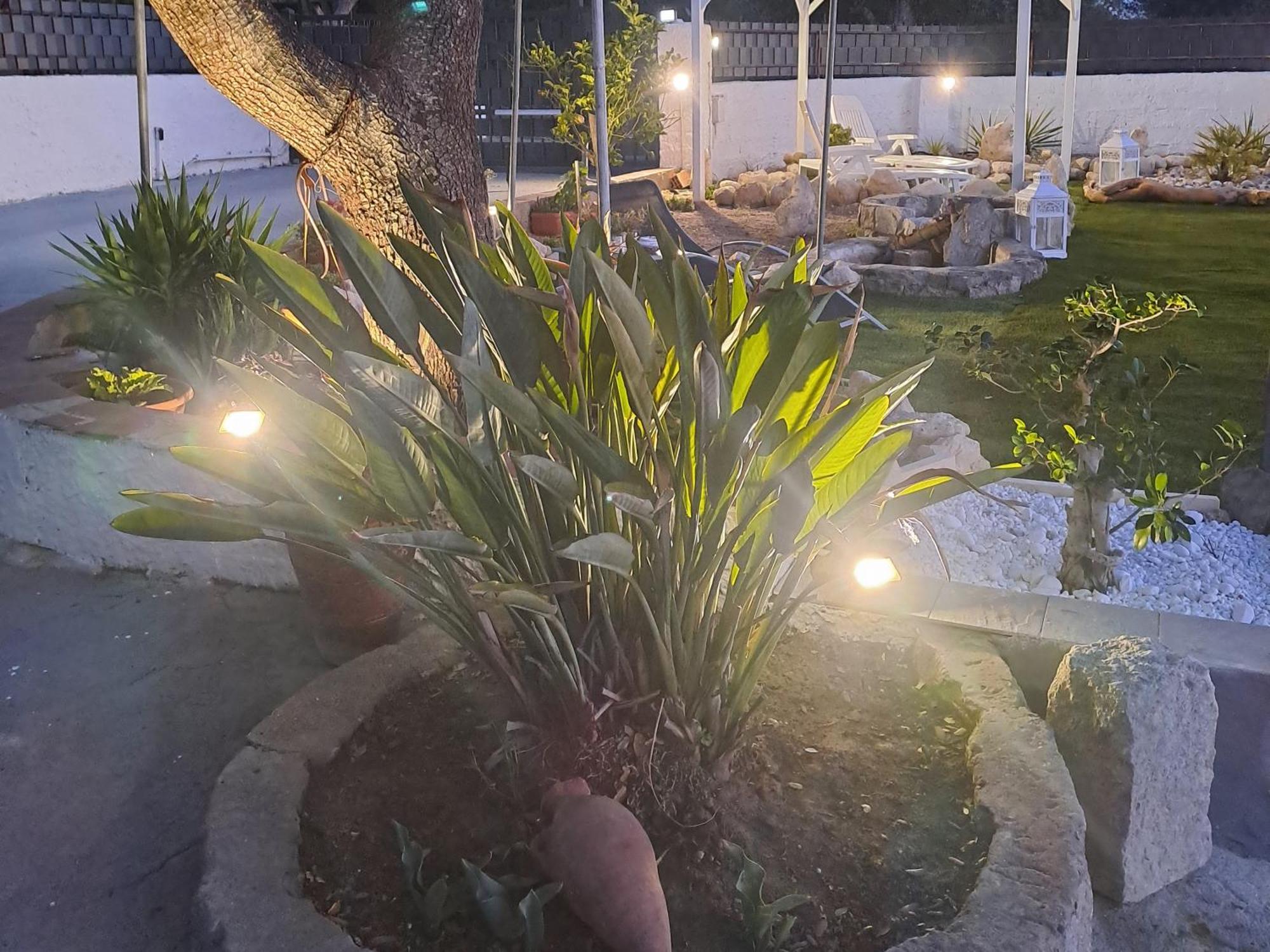 Villa Andres Σάσαρι Εξωτερικό φωτογραφία