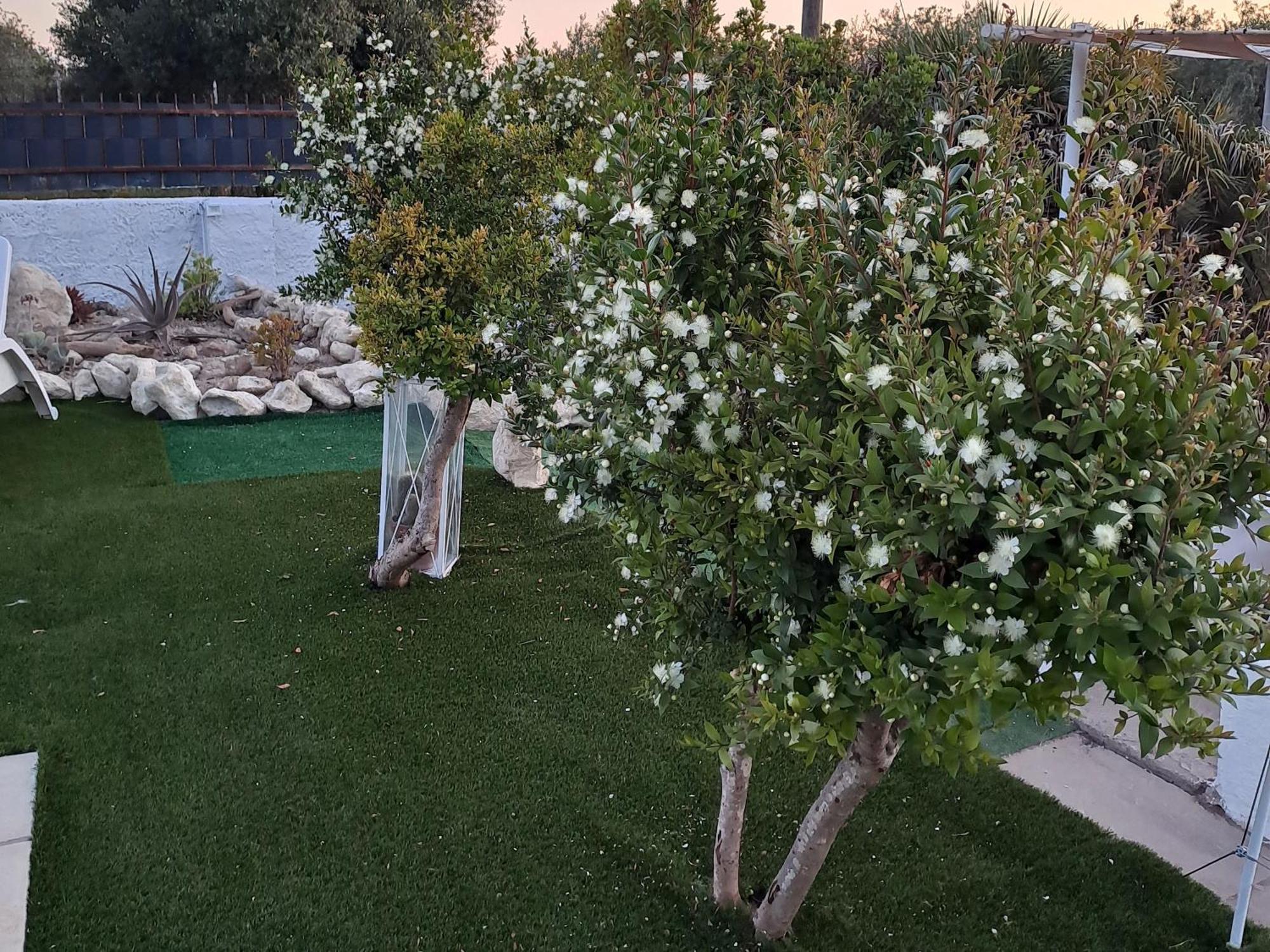 Villa Andres Σάσαρι Εξωτερικό φωτογραφία